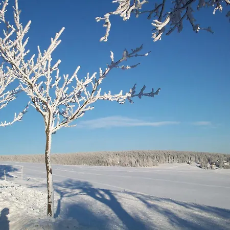 2-personen-apartment * Oberwiesenthal