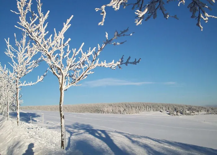 2-personen-apartment * Oberwiesenthal